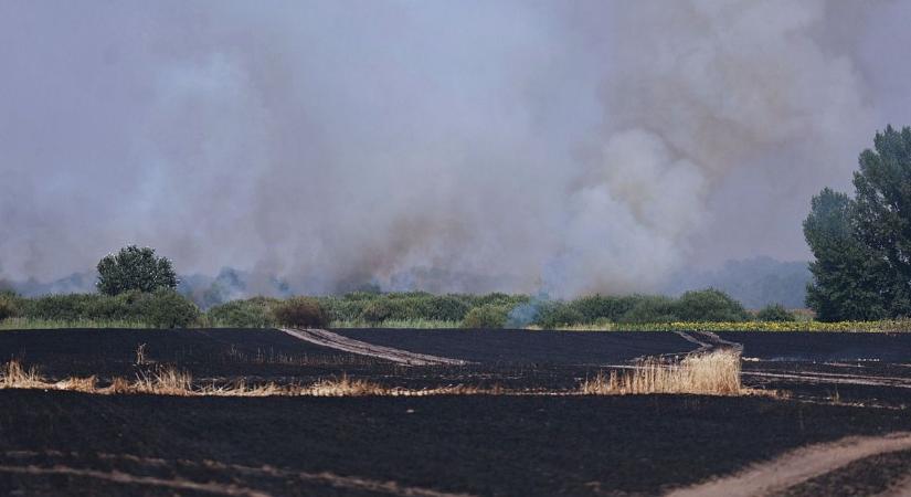 Rémálommá vált a hétvége, felperzselt földek, összetört autók miatt riasztották a tűzoltókat