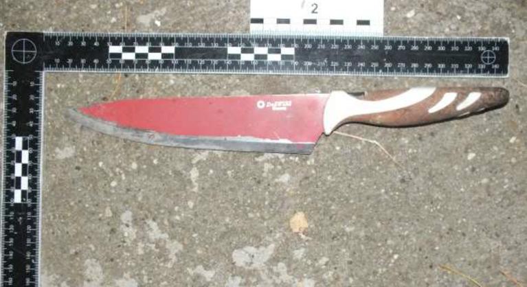 „Úgyis meg fogtok dögleni” felkiáltással támadt a rendőrökre egy Pest vármegyei férfi