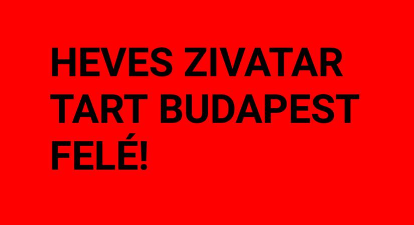 HEVES ZIVATAR TART BUDAPEST FELÉ!