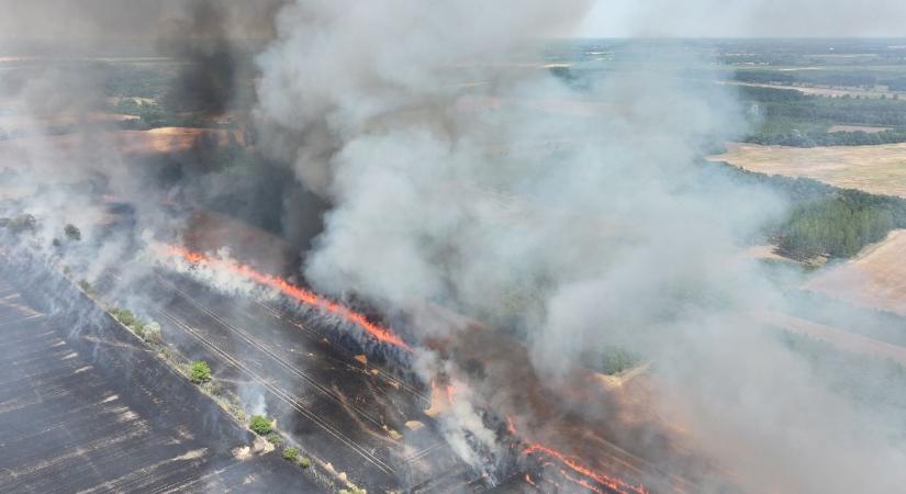 Gabonaföldek lángoltak országszerte – ezt kérik a gazdák! VIDEÓ
