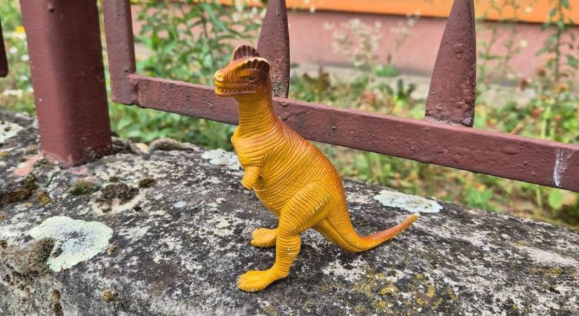 Egy sérült, eltűnt dinoszaurusz várja gazdáját a zalai kerítésen