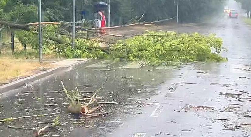 Lecsapott a vihar Budapestre és környékére, kidőlt fák, elöntött utcák mindenfelé – Fotók!