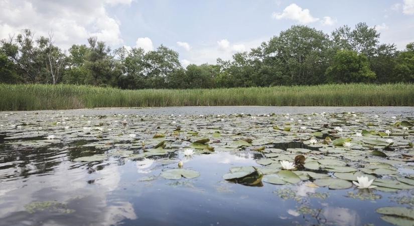 Elkezdik leengedni a Tisza-tavat, ha ez így megy tovább