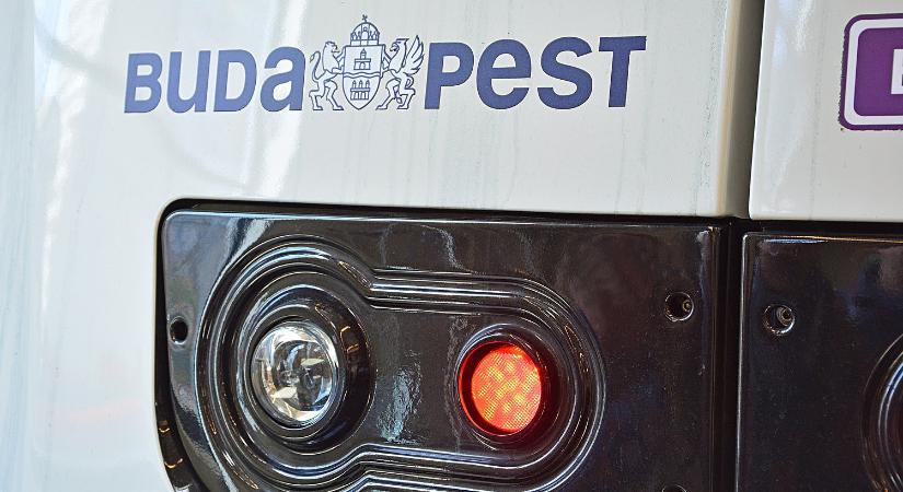 Budapesten kidőlt fák akadályozzák a közlekedést több helyen