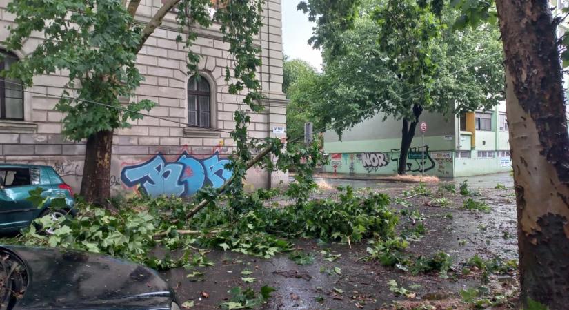 Orkánerejű széllel és esővel csapott le a vihar Szegedre – galériával, videóval