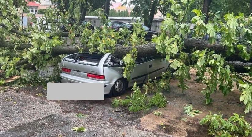 Katasztrófa Pécsváradon: fák dőltek ki, autók törtek rommá