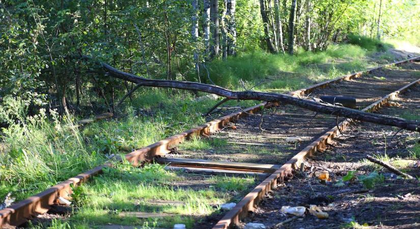 Több vonalon késésekre kell számítani a vihar okozta károk miatt