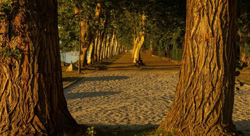 A Balaton egyik legszebb sétánya: a balatonföldvári Kvassay sétány