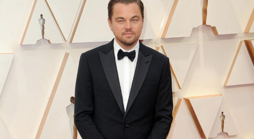 Leonardo DiCaprio megszerzett egy szigetet, de nem luxizásból