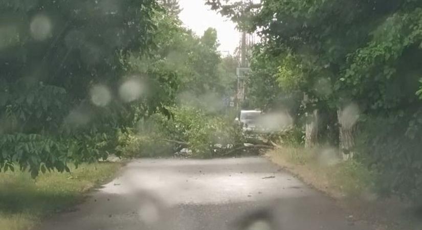 Jégverés ért egy kisvárost, házra zuhant egy fa, gázvezeték is sérült: pusztított a vihar a Jászkunságban – videóval