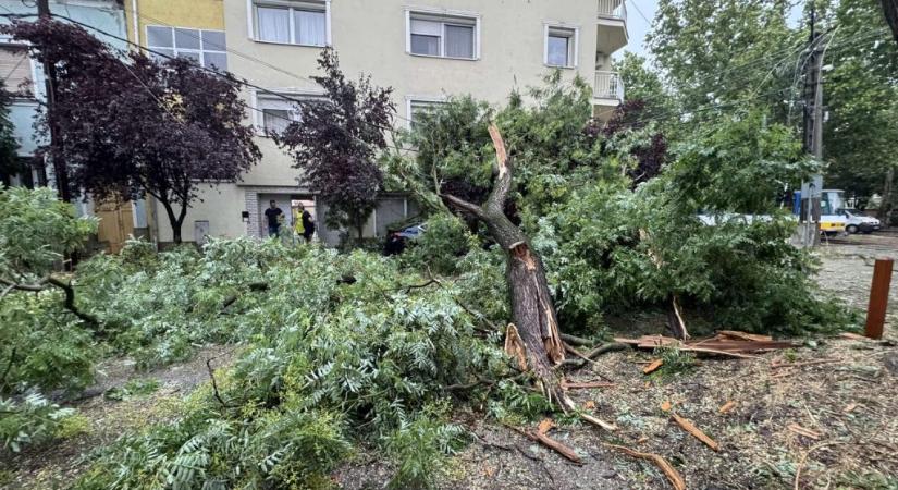 Lesújtott a vihar az országra: megbénult a vasúti közlekedés, 150 ezer háztartás maradt áram nélkül