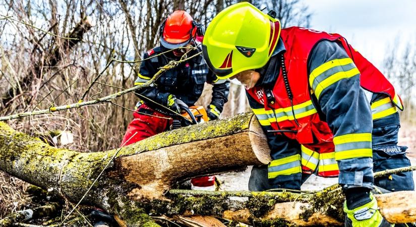 Viharhelyzet Budapesten: fák dőltek villamosra és házakra – Itt a katasztrófavédelem friss jelentése