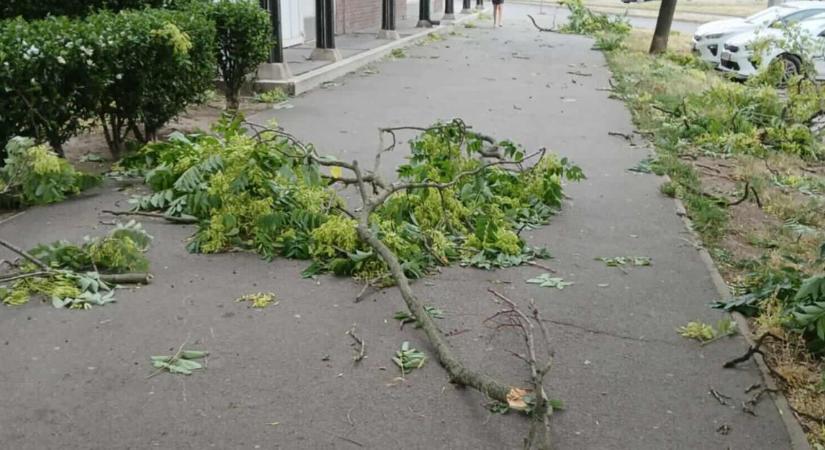 Elemi erővel tarolta le Debrecent a vihar