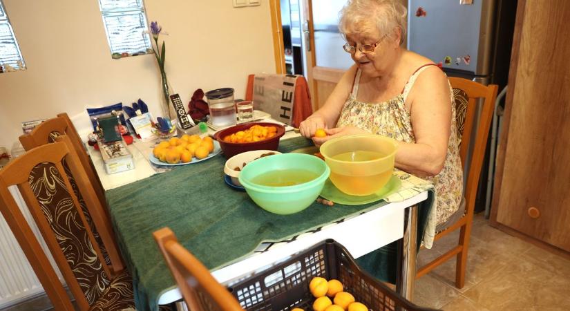 Mennyi cukorral, hámozva vagy darálva – megéri? Feketeöves lekvárfőzési tippek sárgabarackhoz