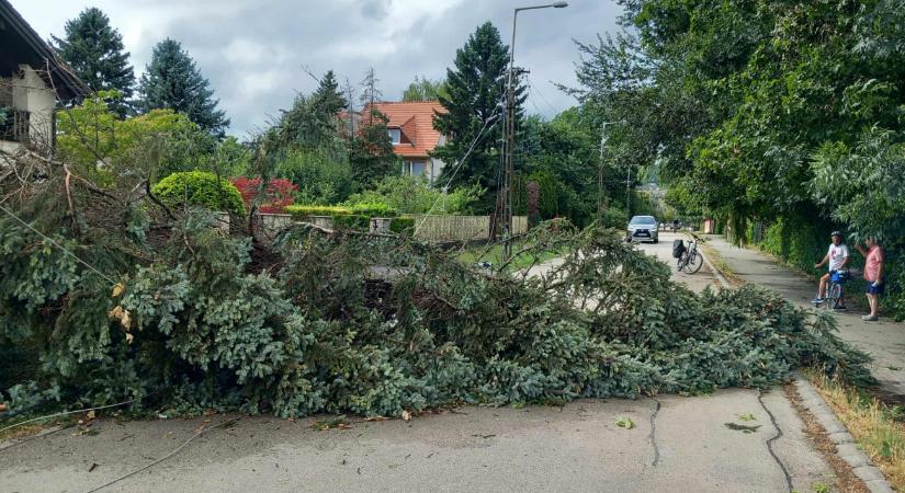 Budapesten a külső kerületekben pusztított leginkább a vihar