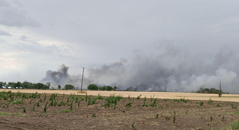 Épületeket is veszélyeztet a Félegyháza és Kecskemét között pusztító tűz – galériával, videóval