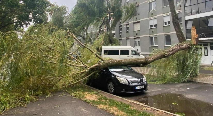 Óriási vihar tarolta le Debrecent – kidőlt fák, leszakadt tetők, akadozó villamosközlekedés
