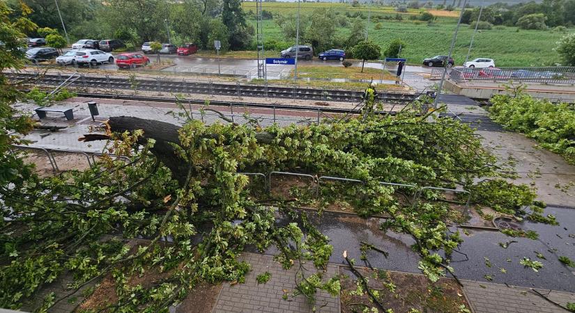 Vasútikatasztrófa-sújtotta területté nyilvánították a főváros és a Balaton térségét, a MÁV azt kéri, kedden ne utazzanak vonattal