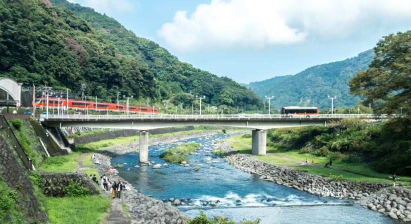 Mérgező ezerlábúak lepik el Japán vasúti sínjeit