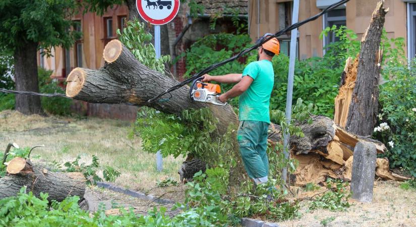 A Ceglédi úton közlekedő autókra szakadt egy villanyoszlop, mutatjuk a helyszíni felvételeket