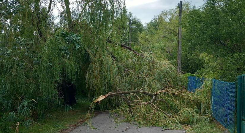 A vihar kegytelenül letarolta az országot - képek