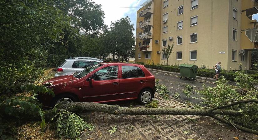 Vihar pusztított Magyarországon: kidőlt fák és sérült épületek adtak munkát a tűzoltóknak