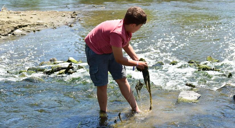 Sorra dőltek a negatív csúcsok a Jászkunságban, egyedülálló megoldás segíti a helyieket – galériával