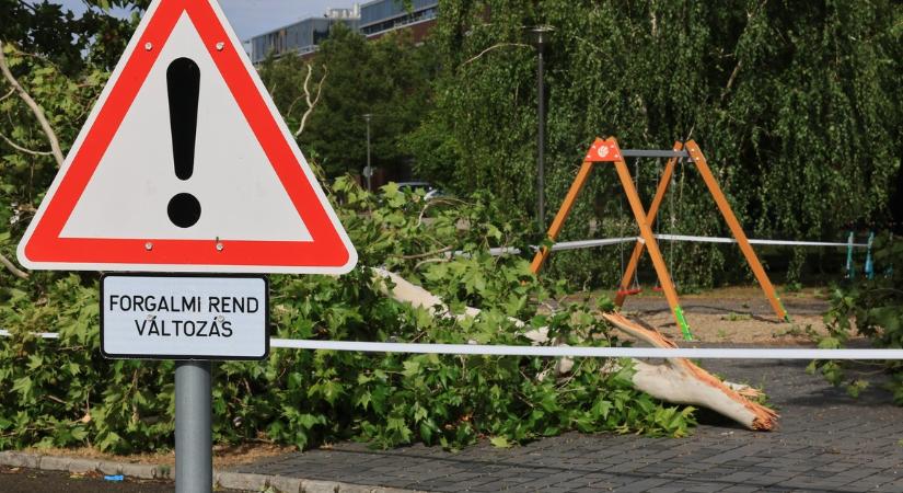 Súlyos károkat okoztak a viharok – 150 ezer magyar háztartásban nincs áram