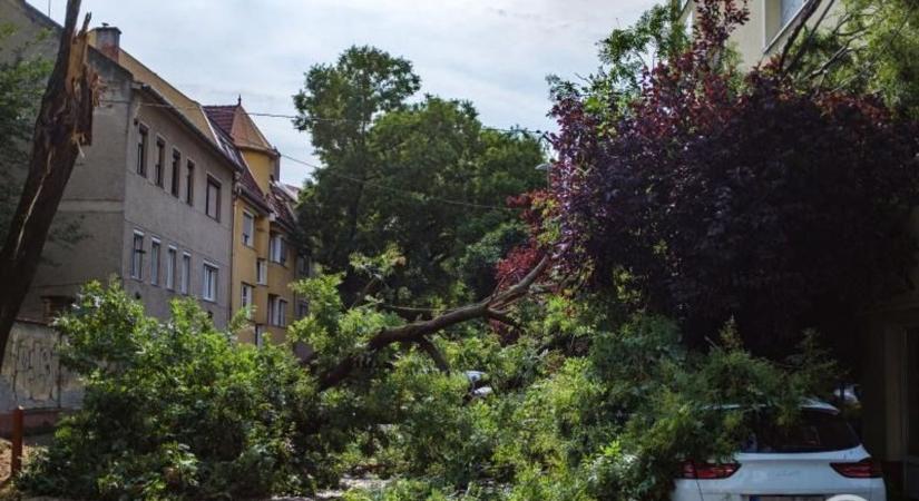 Pusztított a vihar az országban - Több megyében is áramszünet, kidőlt fák - 2200 riasztás, vasúti katasztrófa a Balatonnál