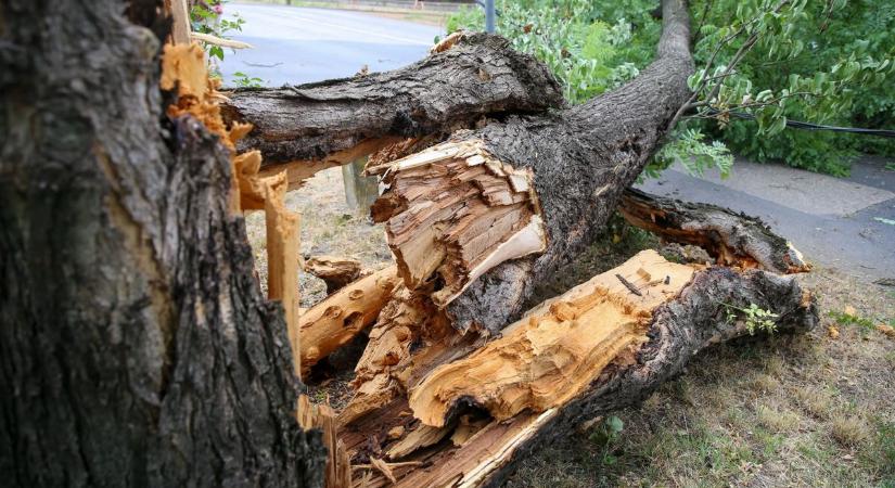 Katasztrófahelyzet uralkodott Bács-Kiskunban: tűz, összedőlt épületek és áramszünet a vihar miatt