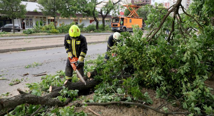 Lázár János: 800 ezer - 1 millió ember szenvedte el a vihar következményeit