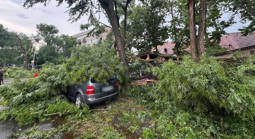 Durván megtépázta a vihar Hajdúszoboszlót! Szinte minden utcában van kár – fotókkal