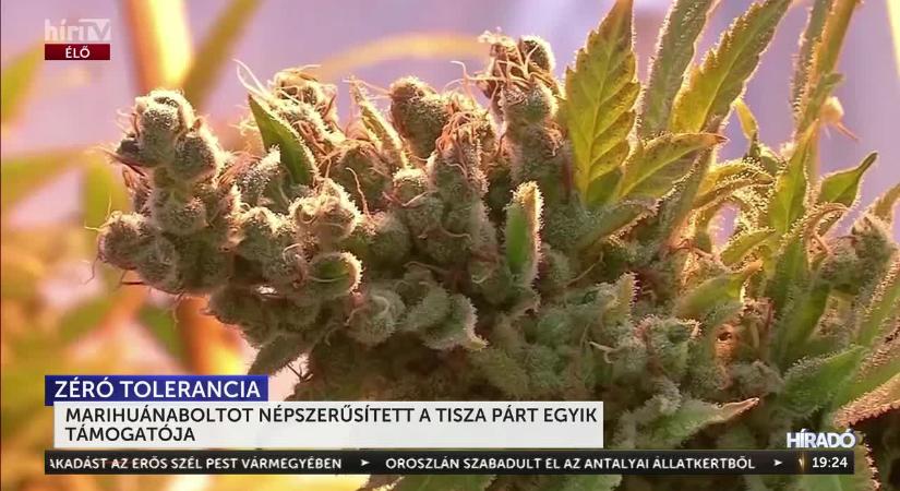 Horváth László: A Tisza párt ugyanazt a liberális álláspontot képviseli a drogkérdésben, mint Brüsszel  videó