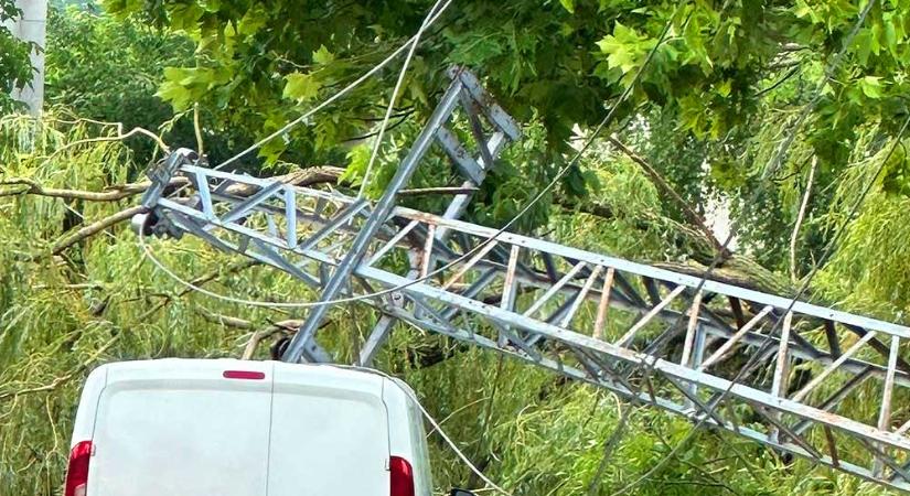 Katasztrófahelyzet Budakeszin: keddig áram nélkül marad a város, az orvosi ügyelet autóját összetörte egy kidőlt fa