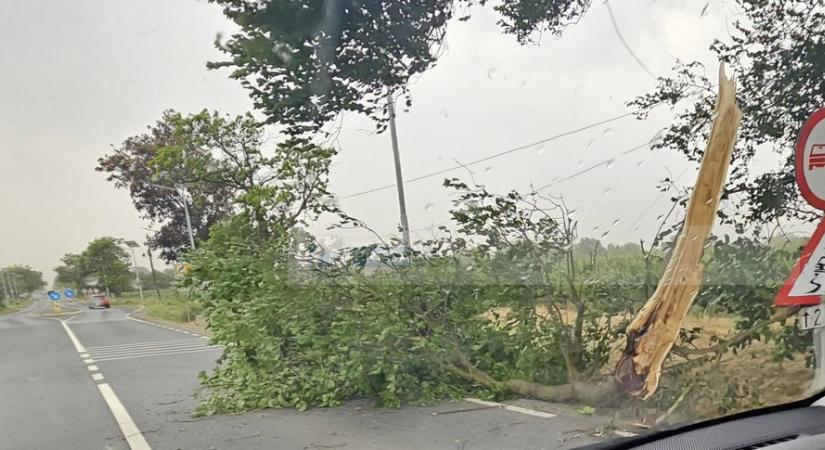 Szatmár megyét sem kerülte el az ítéletidő (VIDEÓ)