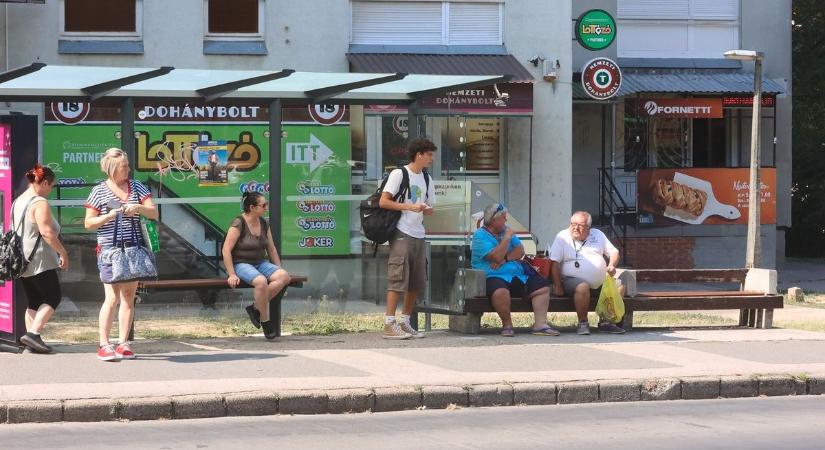 Busz nélkül maradhat Pécs? Egyre többen támogatják a sztrájkot