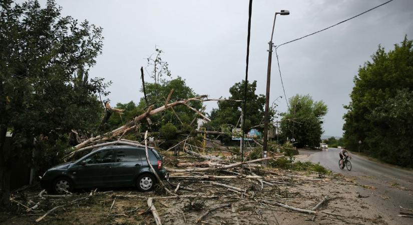 Kidőlt fák torlaszolják az utakat, mindenki figyeljen!