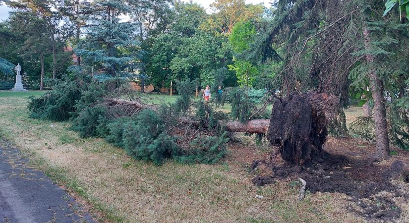 Egerben fákat csavart ki, szaggatott meg a szél