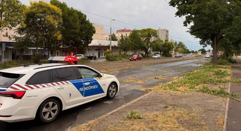 Így csapott le a vihar Miskolcra: kidőlt fák, megbénult villamosközlekedés, és még nincs vége!