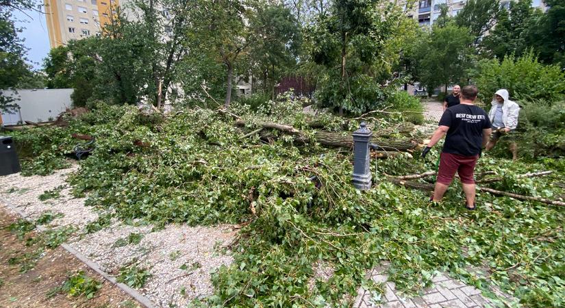 Több mint hatvanan dolgoznak a város megbízásából a viharkárok elhárításán, közölte Papp László