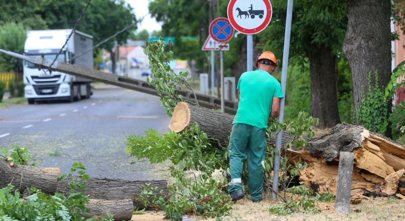 Háztartások maradtak áram nélkül Bács-Kiskunban
