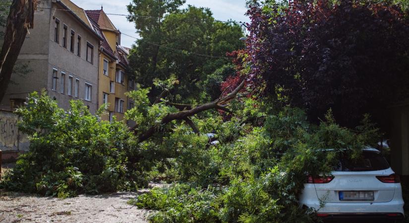 Százezrek maradtak áram nélkül a vihar miatt