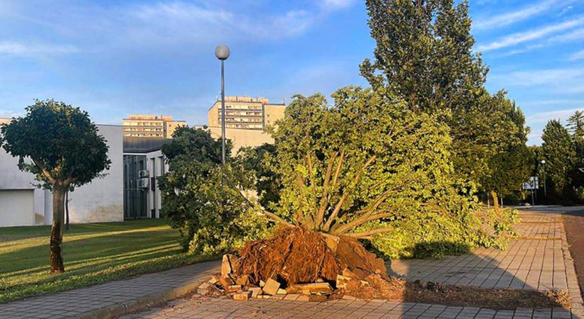 A Debreceni Egyetemet sem kímélte a hétfői vihar