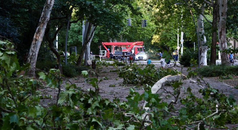 Megérkeztek az országba az újabb zivatarok, itt vannak a figyelmeztetések – térkép