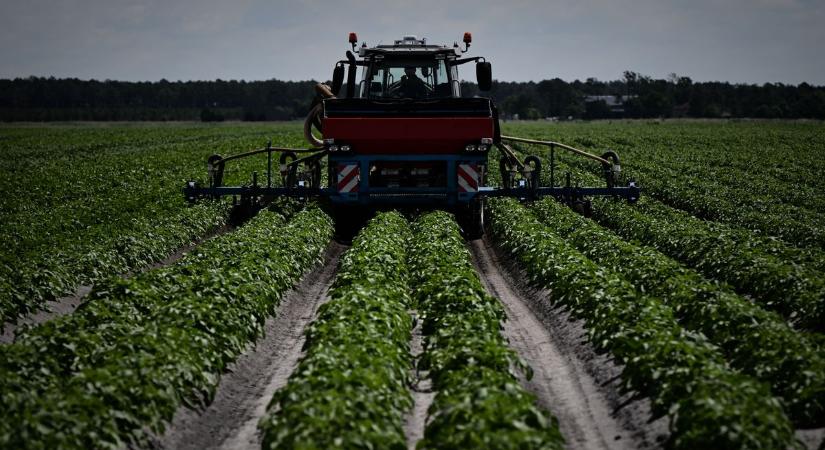 Soha nem látott pénzeső az agráriumban – növénytermesztők és tejtermelők a támogatási lista élén