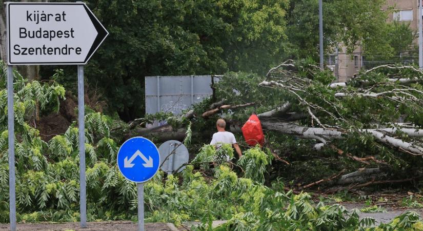 190 ezer magyar háztartás maradt áram nélkül a vihar pusztítása nyomán, gőzerővel zajlik a helyreállítás