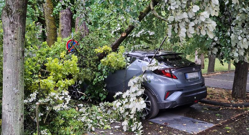 Óriási pusztítást végzett a vihar a Debreceni Egyetemen