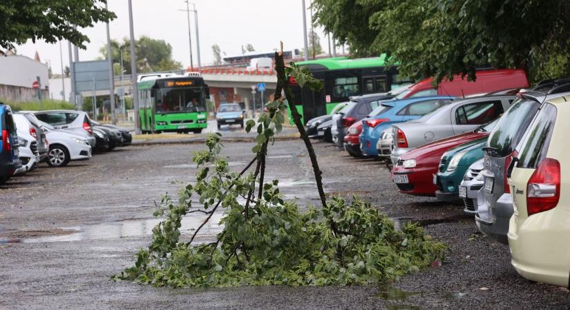 Jön a második felvonás: kedden is letarolhatja a vihar Baranyát
