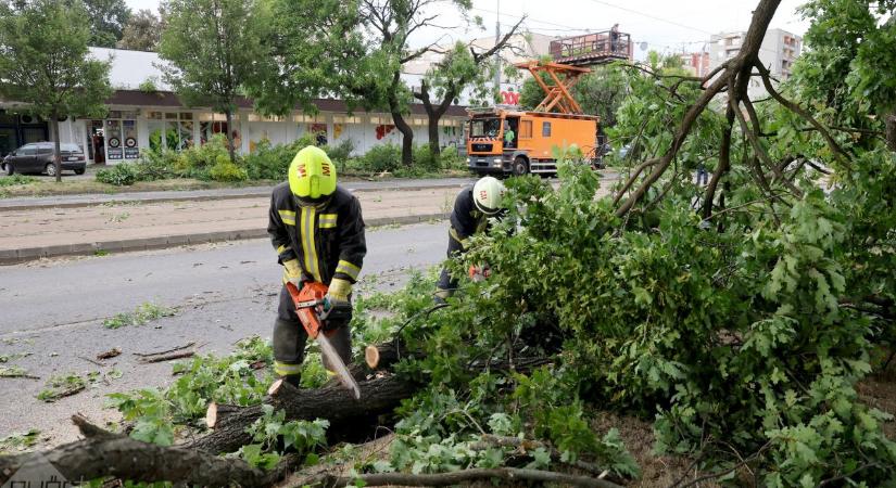 Hétfői vihar: országszerte 2200 tűzoltói beavatkozásra volt szükség kora estig