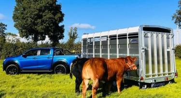 M-TEC Livestock – háromtengelyes stabilitás az állatszállításban